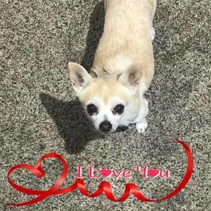 Meet your Posher, Sheila